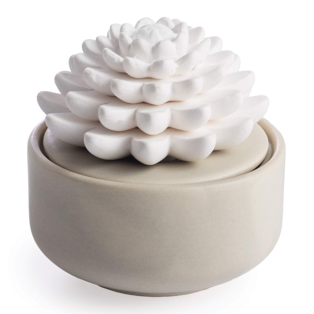 Airomé White Succulent, Porcelain Passive Essential Oil Diffuser (with 15ml Peppermint Essential Oil) – Non-Electric, Battery-Free, Improves Sleep, and Relieves Stress