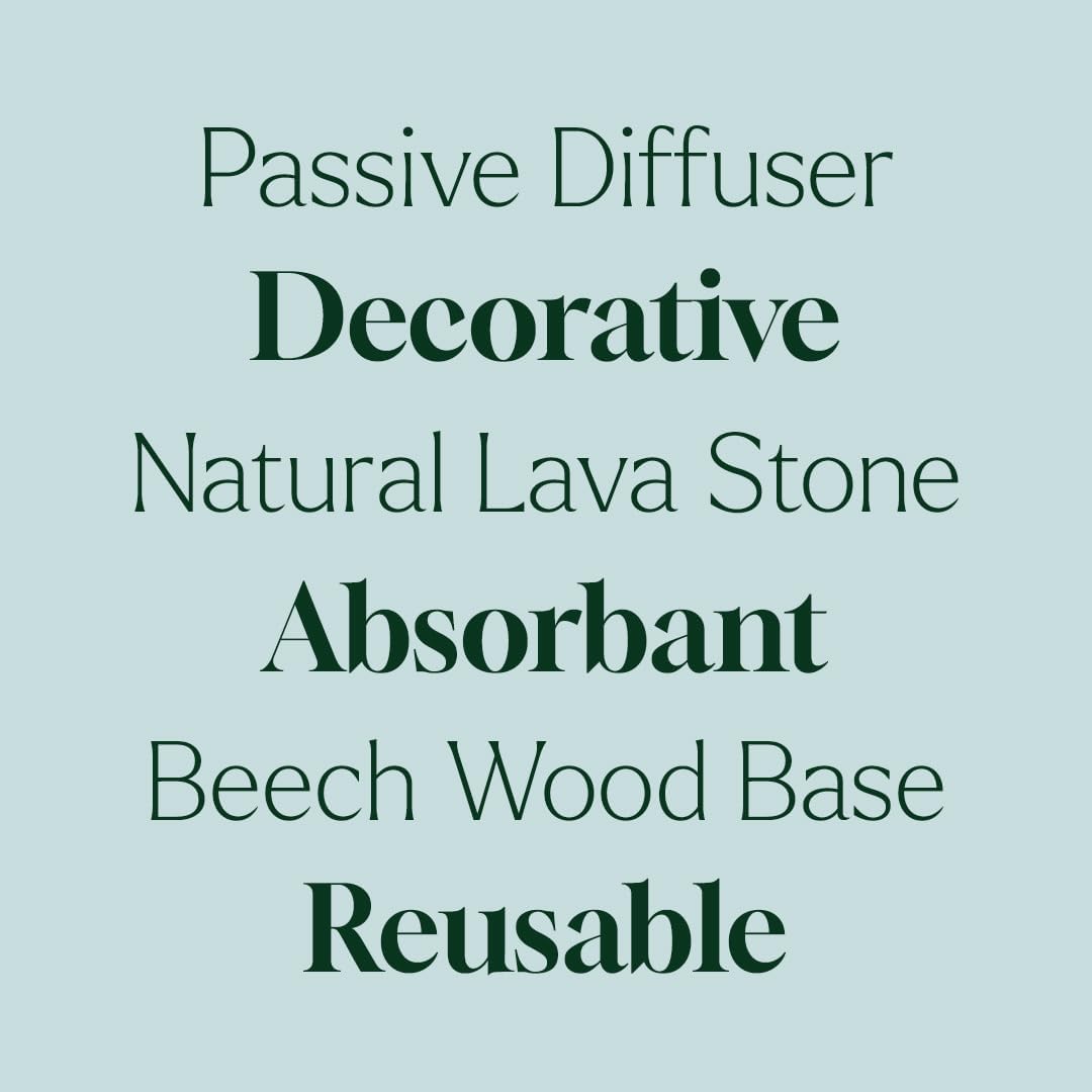 Plant Therapy Lava Rock Passive Diffuser for Essential Oils