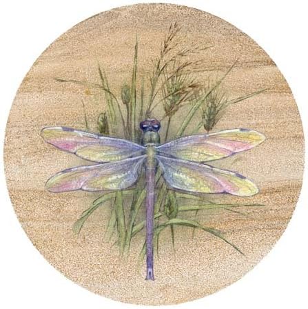 Thirstystone Dragonfly 4 Pack Round Natural Sandstone Coasters