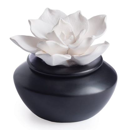 Airomé White Succulent, Porcelain Passive Essential Oil Diffuser (with 15ml Peppermint Essential Oil) – Non-Electric, Battery-Free, Improves Sleep, and Relieves Stress