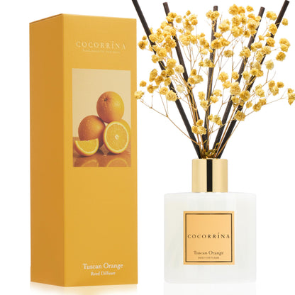 Cocorrína Reed Diffuser Set, Clean Linen 6.7 fl oz Scented Diffuser with Sticks Home Fragrance Reed Diffuser for Bathroom Shelf Décor